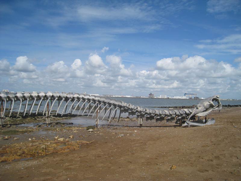 SEA SERPENT permanent work Estuaire Nantes <> Saint-Nazaire 2012 Inauguration on june 20 2012 photo <> Daniele Sicard